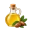 نگهداری و نظم دهی